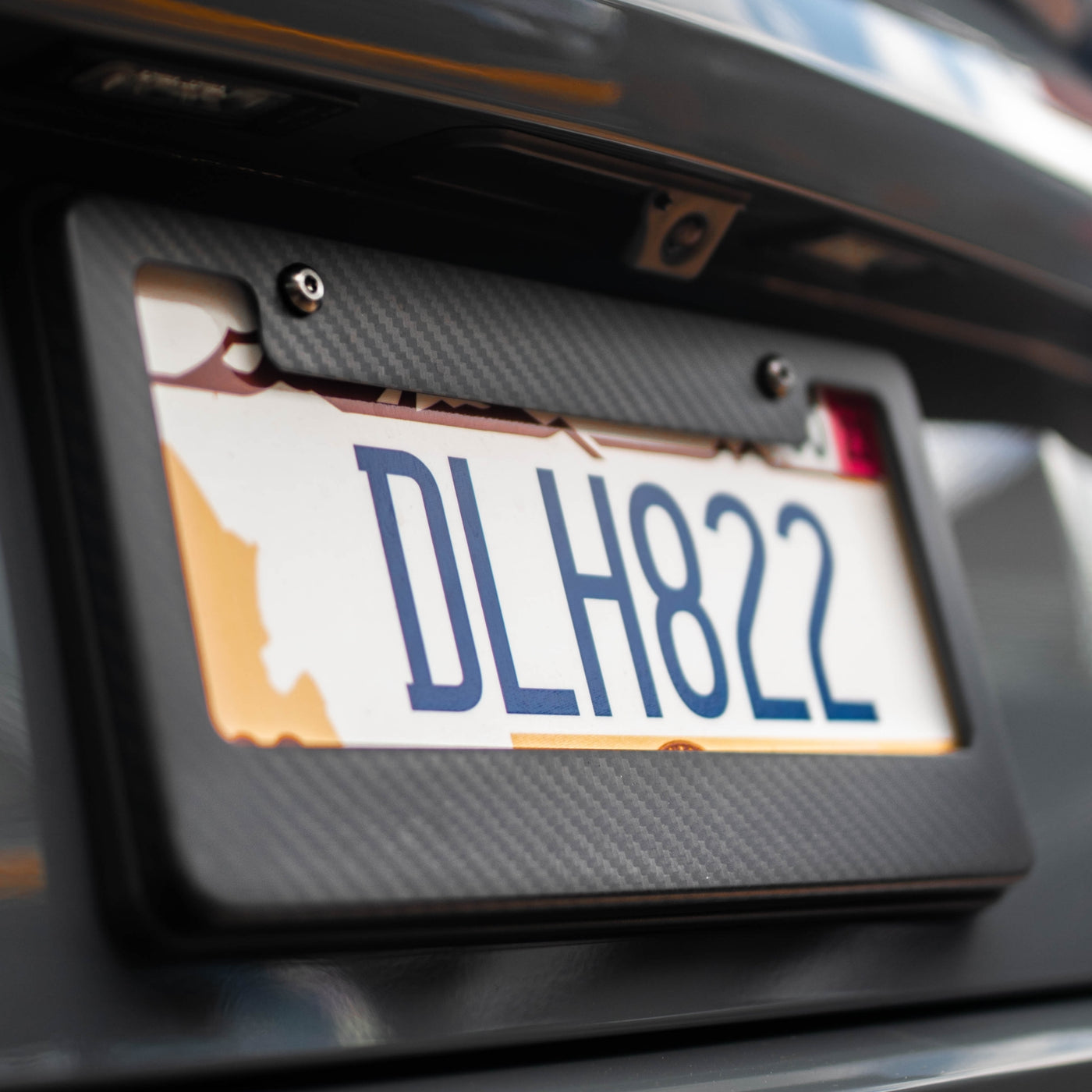 Carbon Fiber License Plate Frame - Covert State